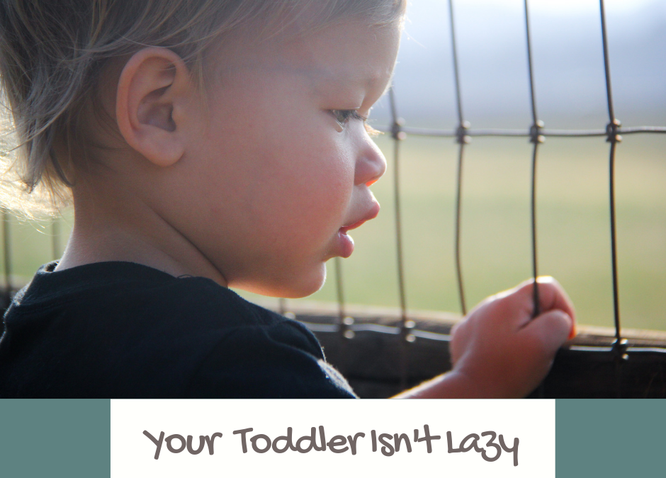 Your Toddler Isn’t Lazy