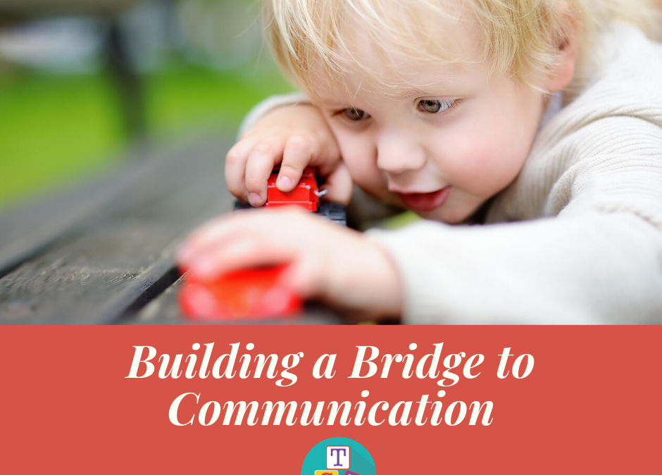 Building a Bridge to Communication